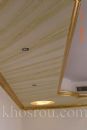 gilding 56